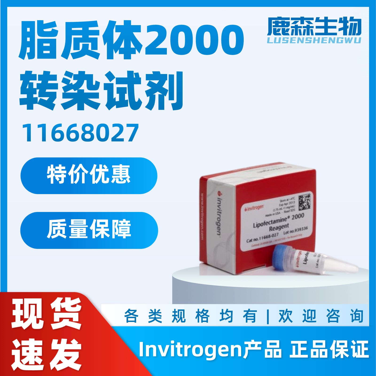 Lipofectamine 2000 Reagent|11668027