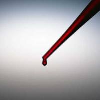 Cyanine7 抗人 CD257 (BAFF, BLYS) 荧光标记APC 抗体