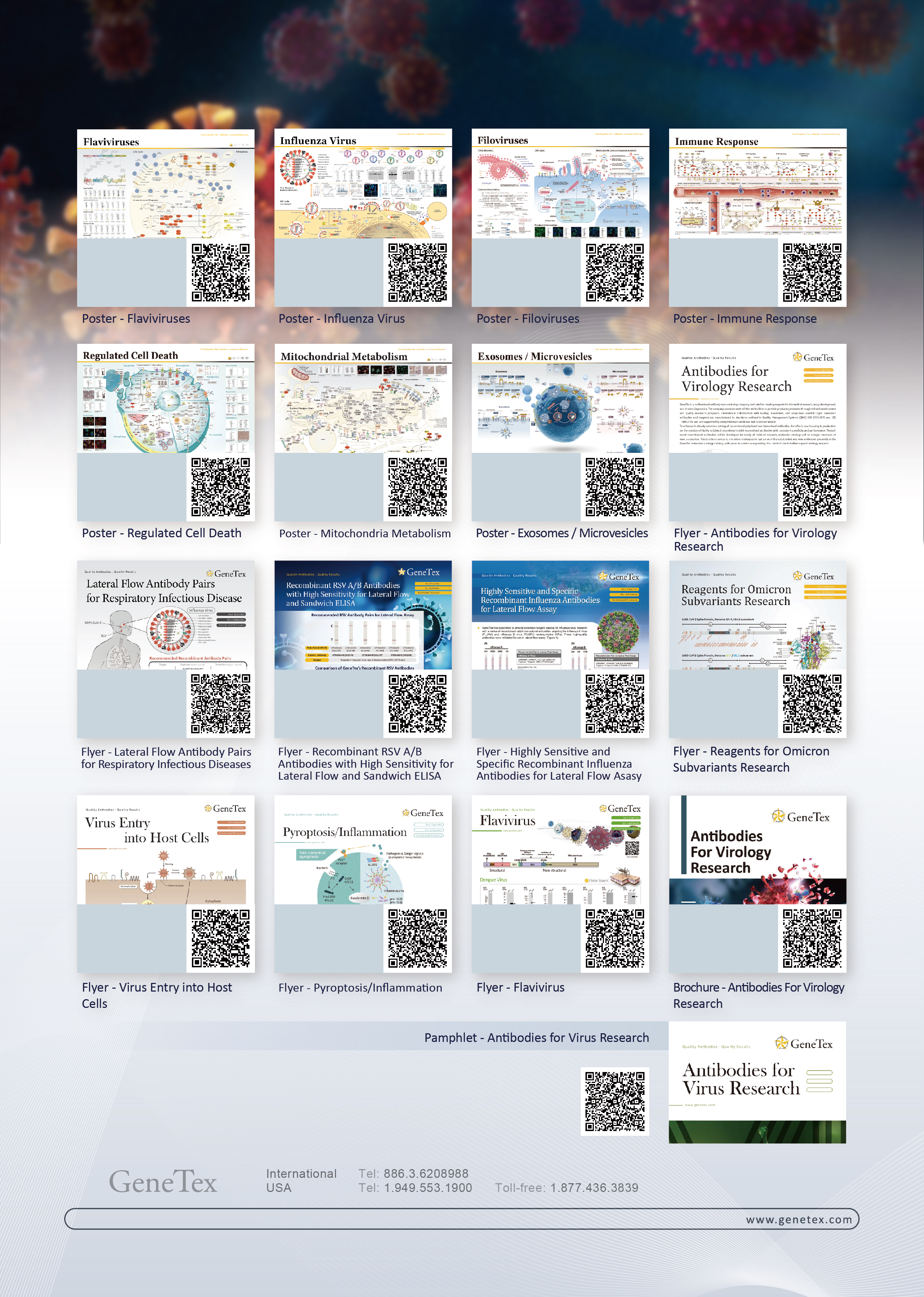 单页 - 病毒工具包