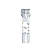 TLR4 Rabbit pAb(Toll-Like Receptor 4 Rabbit pAb)