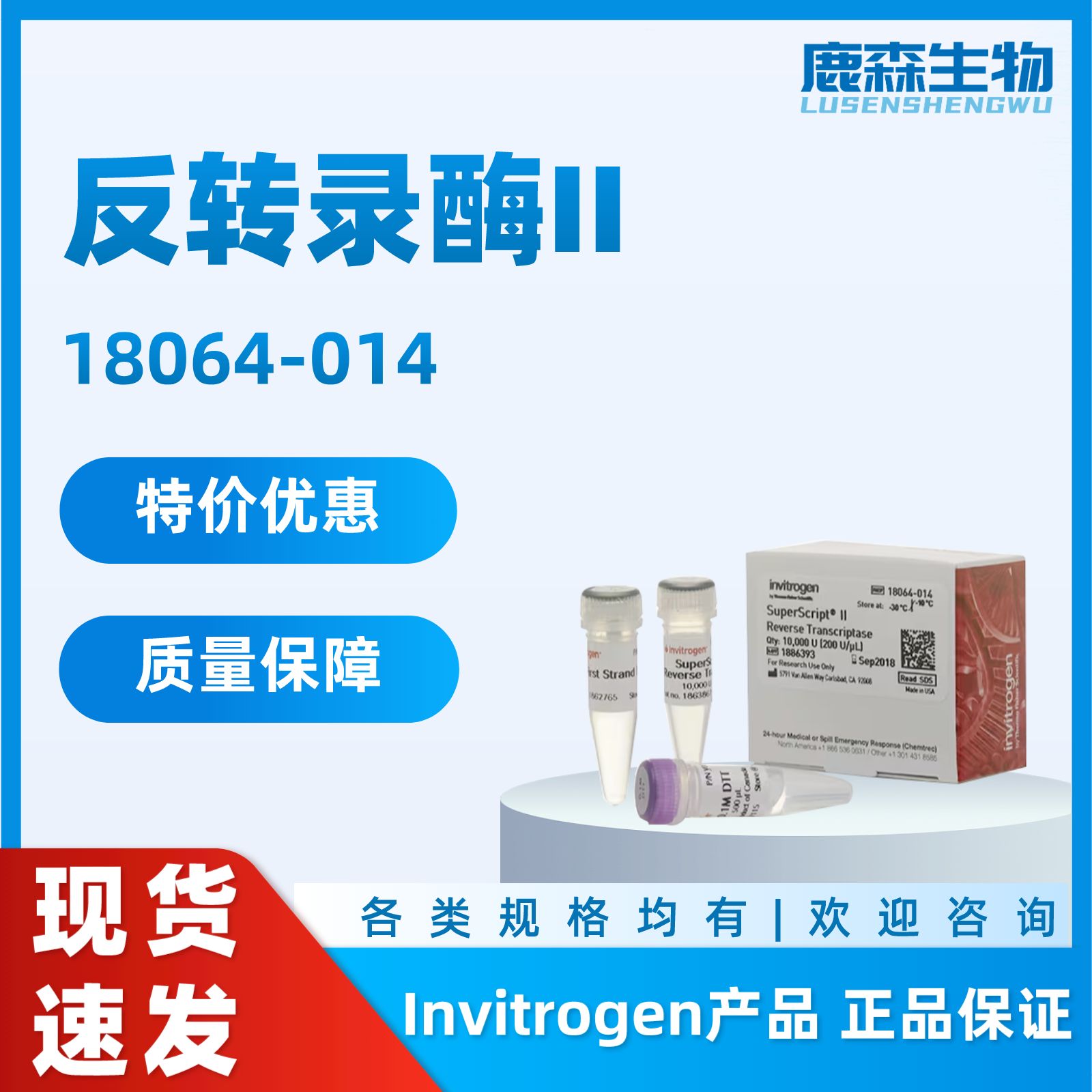 Invitrogen 反转录酶II，18064014