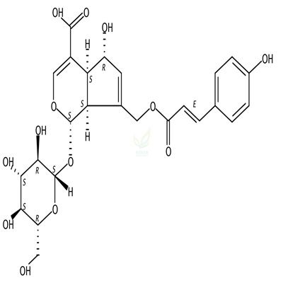10-O-反式-P-香豆酰鸡屎藤次苷  CAS号：870785-25-4
