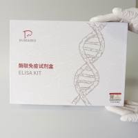 人肿瘤坏死因子可溶性受体Ⅰ(TNFsR-Ⅰ)ELISA试剂盒