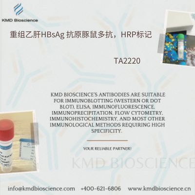 重组乙肝HBsAg 抗原豚鼠多抗，HRP标记