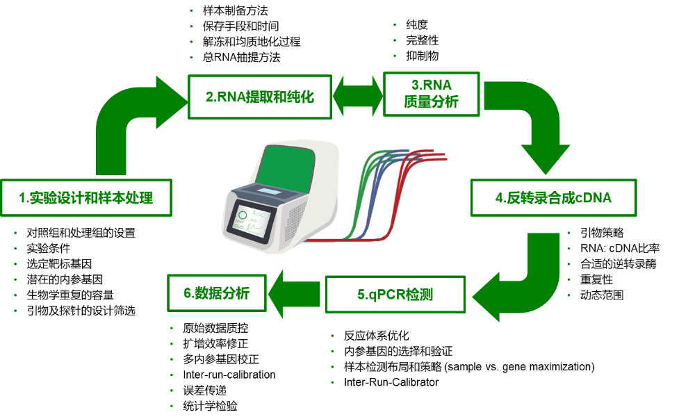 一,qpcr 实验整体流程包括哪几个关键步骤?