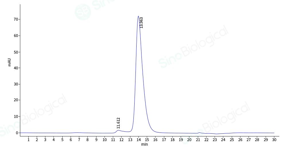 钙粘蛋白CDH：肿瘤靶点研究新秀
