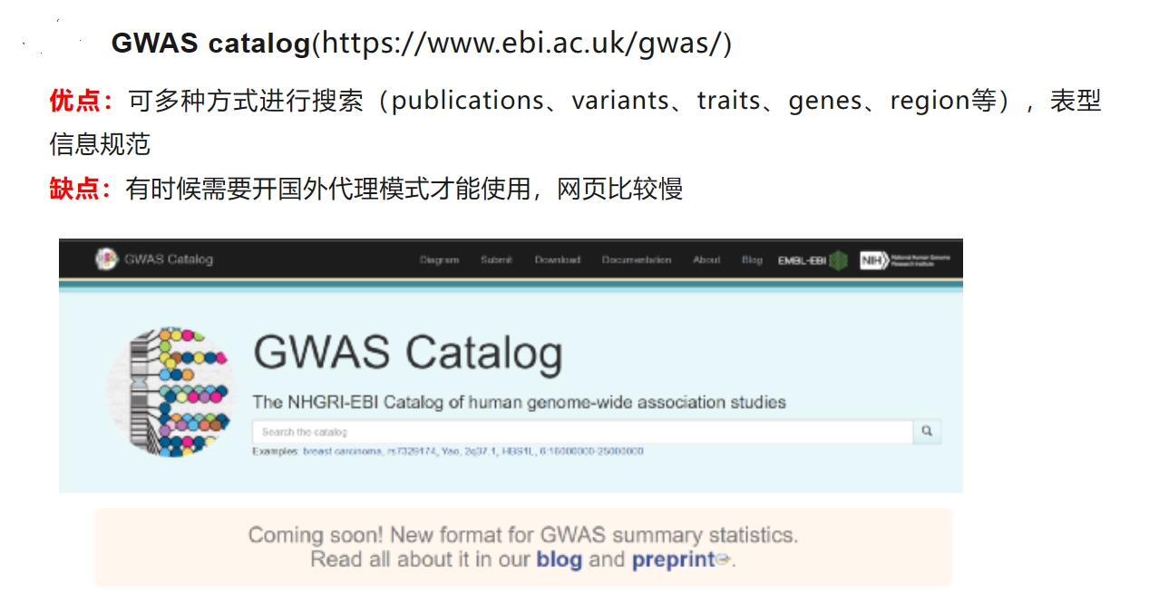 孟德尔随机化分析#孟德尔研究#孟德尔分析#孟德尔随机研究#孟