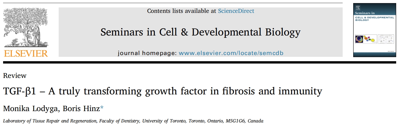 TGF-β1–纤维化和免疫中真正的转化生长因子