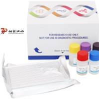 绵羊白介素2(IL-2)酶联免疫试剂盒