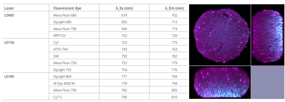 新品上市丨EVIDENT全新激光扫描共聚焦系统FV4000重磅发布