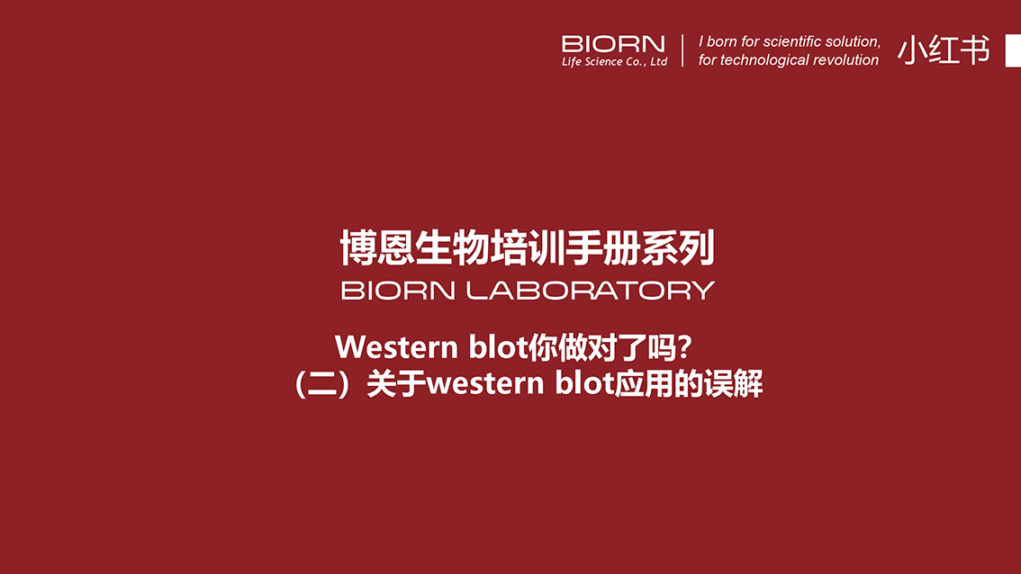 Western blot你做对了吗？（二）