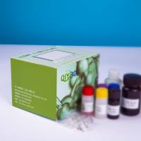 猪含T-细胞免疫球蛋白粘蛋白域蛋白4(TIMD4)ELISA测试盒