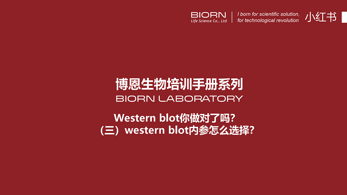 Western blot你做对了吗？（三）