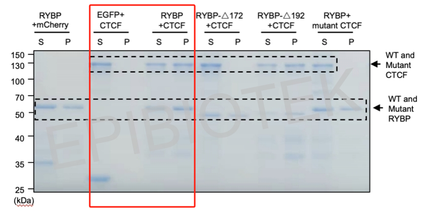 产品细节图片13