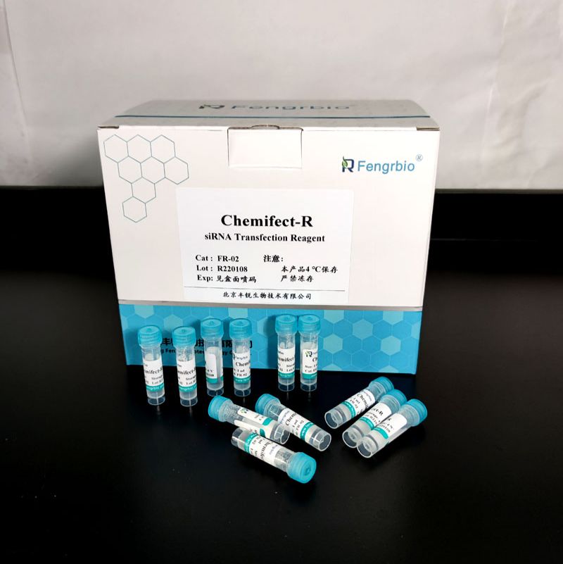 Chemifect-R（siRNA 转染试剂）