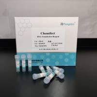 Chemifect （真核细胞转染试剂）