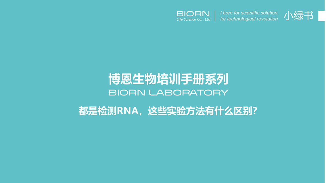 同样是检测RNA，这些实验方法有什么区别？