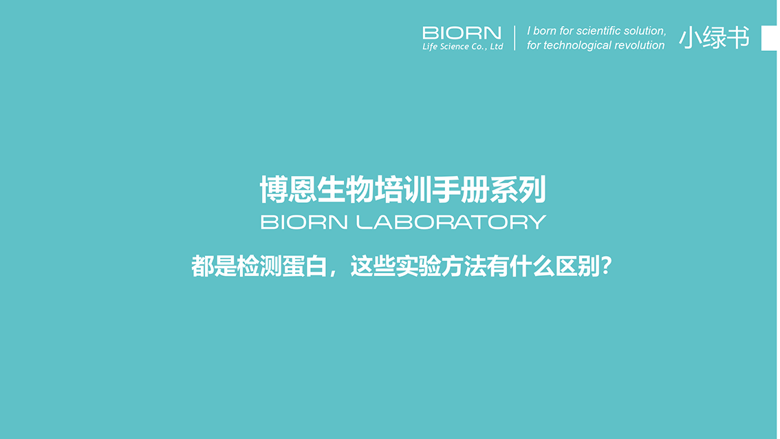 同样是检测蛋白，这些实验方法有什么区别？