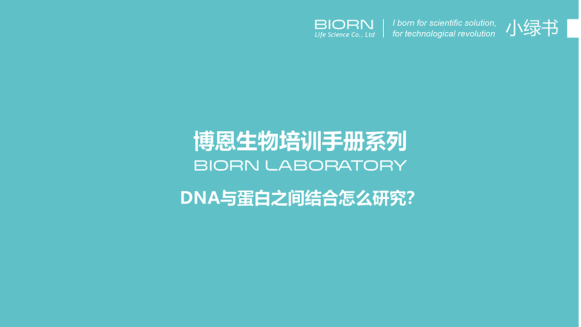 DNA与蛋白之间结合怎么研究？