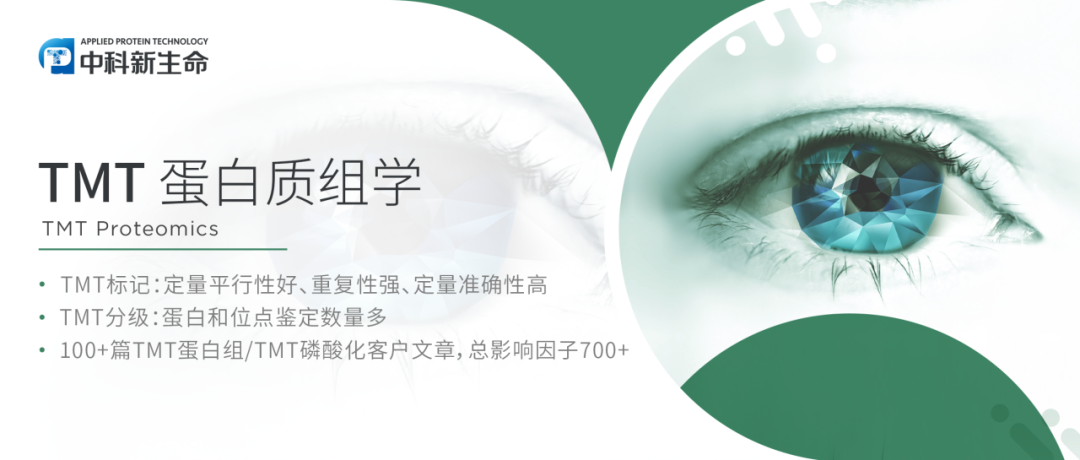 项目文章Cell Mol Immunol（IF 24.1）| 重庆医科大学附属第一医院利用TMT标记蛋白组学探究VKH病机制