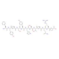 树突状细胞靶向肽Dcpep  FYPSYHSTPQRP