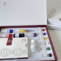 人白介素12(IL-12/P70)ELISA试剂盒重复性好，特异性强，可定制