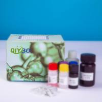 猪趋化因子C-C-基元受体5（CCR5）ELISA测试盒