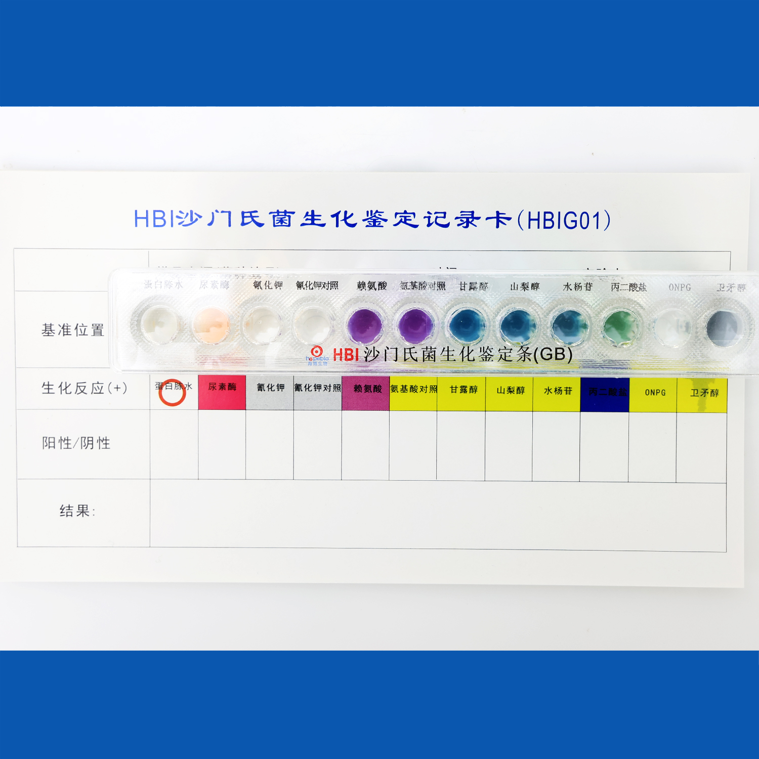 产品细节图片11