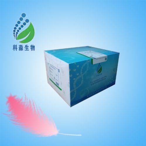 斑马鱼孕激素(P)ELISA试剂盒
