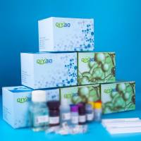 猪成纤维细胞生长因子-20(FGF-20)ELISA测试盒