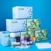 猪激活STAT蛋白抑制因子3(PIAS3)ELISA测试盒