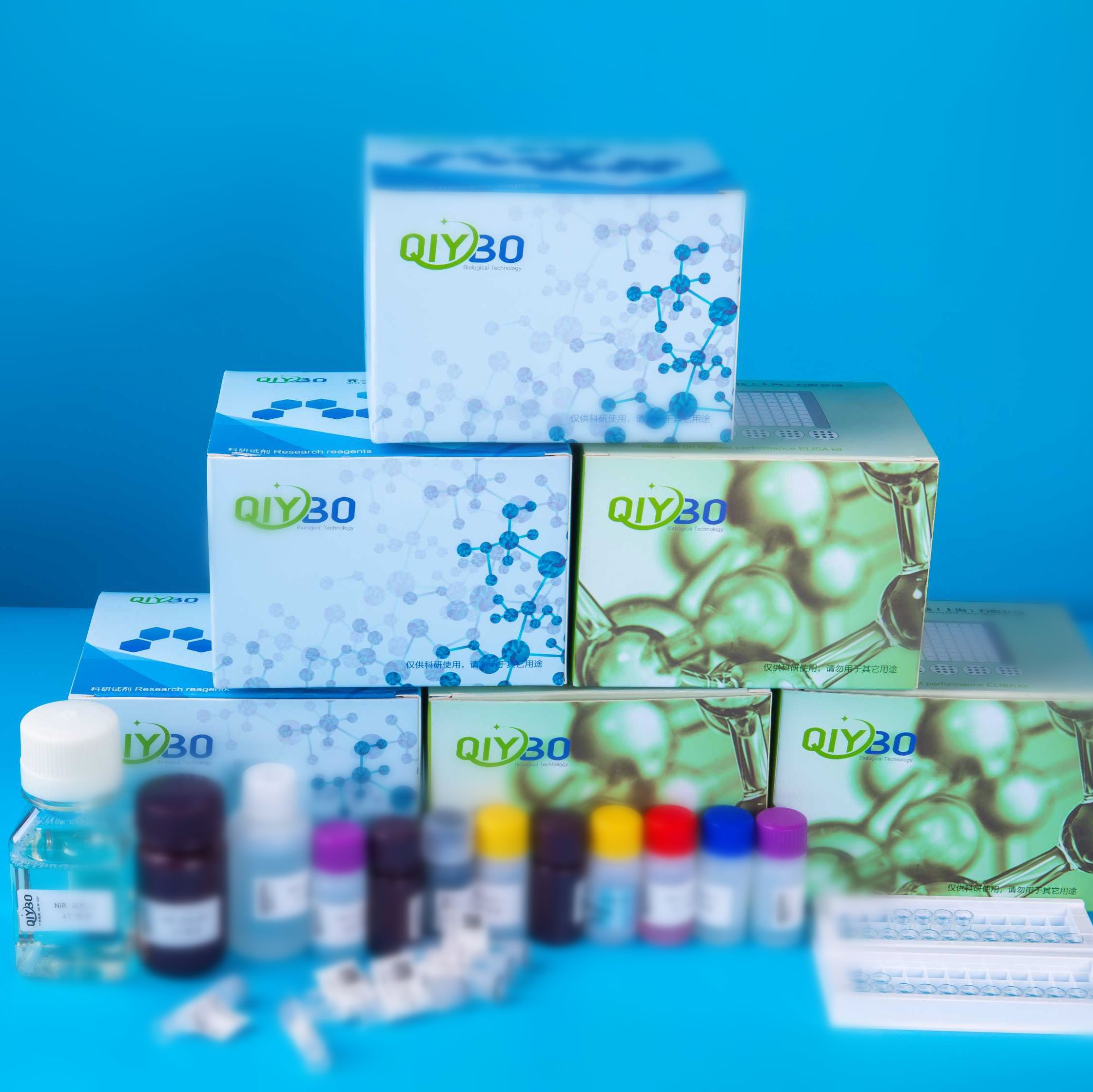 猪Janus激酶1(JAK1) ELISA测试盒