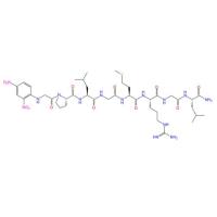 基质金属蛋白酶MMP-13，Substrate  Dnp-GPLGMRGL-NH2 