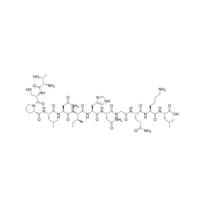 靶向肽HN-1 肿瘤特异肽 序列号 TSPLNIHNGQKL