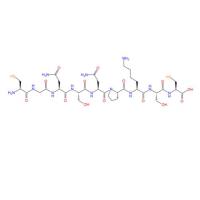 靶向肽GX1 肿瘤血管靶向肽