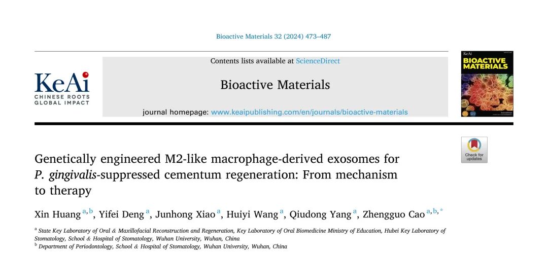 BAM（IF18+）丨基因工程化sh-Ckip-1-EXO通过递送miRNA Let-7f-5p有助于Pg抑制的牙骨质再生