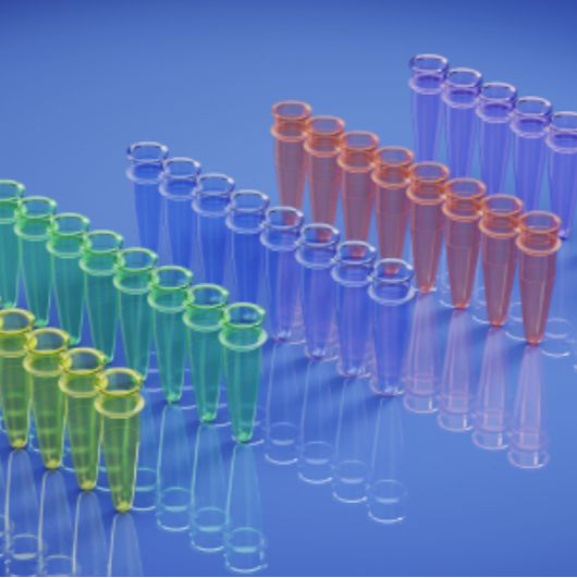  0.1ml彩色八连排/彩色八联管 配光学平盖