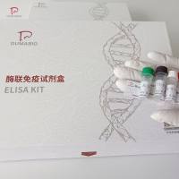 人白介素6(IL-6)ELISA试剂盒准确度高，重复性好