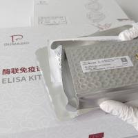 人粒细胞集落刺激因子(G-CSF)ELISA试剂盒说明