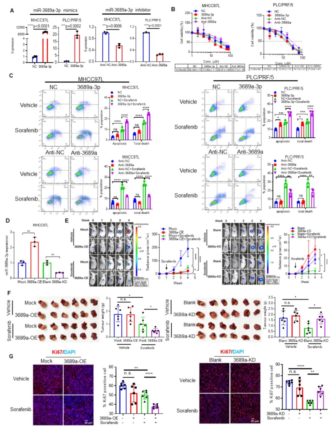 miRNA研究进展盘点丨20231114期
