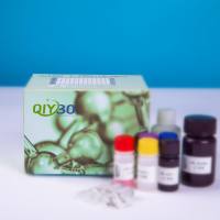 猪ATP结合盒转运蛋白B9(ABCB9)ELISA测试盒