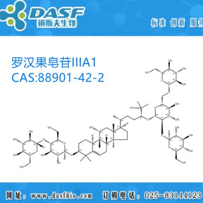 罗汉果提取物 罗汉果皂苷IIIA1 1%-99% CAS:88901-42-2 厂家供应