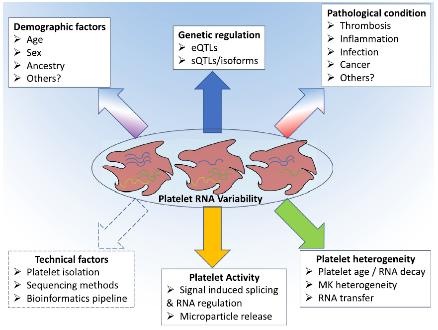血小板转录组多变性的来源