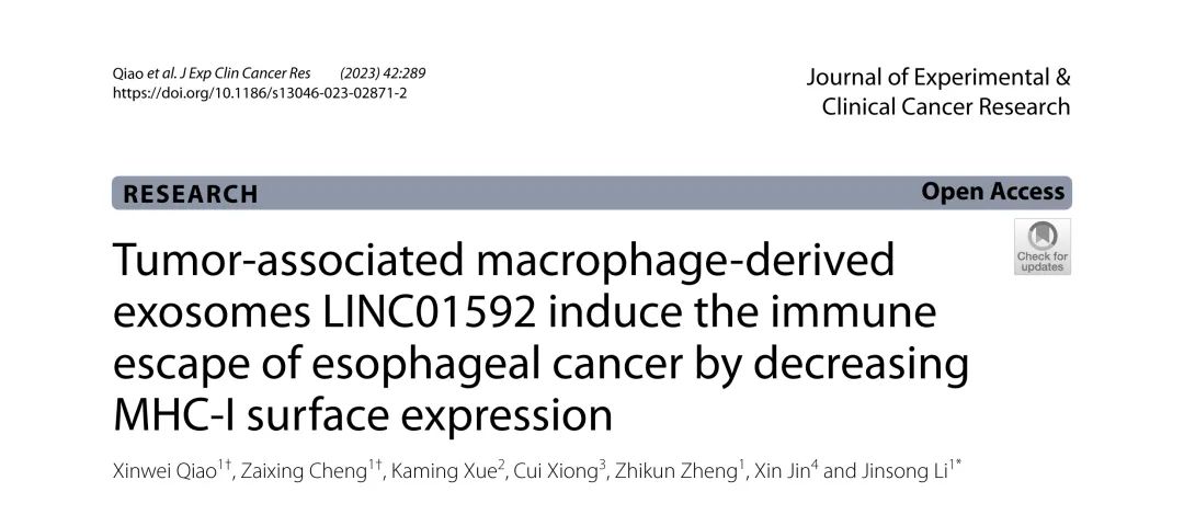 JECCR（IF11+）丨TAMs源性外泌体LINC01592诱导食管癌免疫逃逸