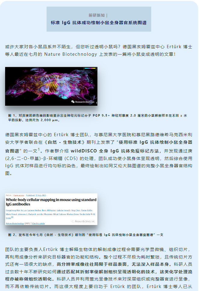 前研新知｜标准 IgG 抗体成功绘制小鼠全身器官系统图谱