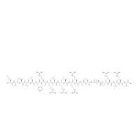 细胞穿膜肽M918 肿瘤抑制蛋白p14ARE