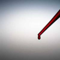 抗人 CD154 荧光标记APC 抗体