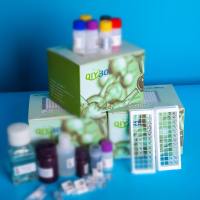 猪乙酰辅酶A乙酰转移酶2(ACAT2)ELISA测试盒