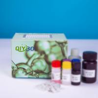 猪肌肌酸激酶(CKM)ELISA测试盒