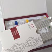 人胶质细胞系来源的神经营养因子(GDNF)ELISA试剂盒